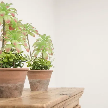 Apartmán Mirlo Rooms Lanzarote - Garden, Terrace & Shared Kitchen - Macaronesiahomes